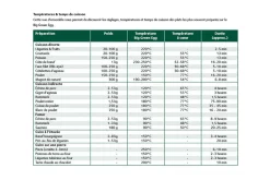 Barbecue Big Green Egg Medium multifonctions en céramique de qualité supérieure