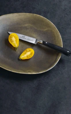 Bloc Sabatier Edonist en hêtre 5 couteaux forgés acier inox