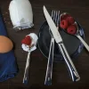 Boîte de 4 couteaux de table Opinel Perpétue tout en acier inox