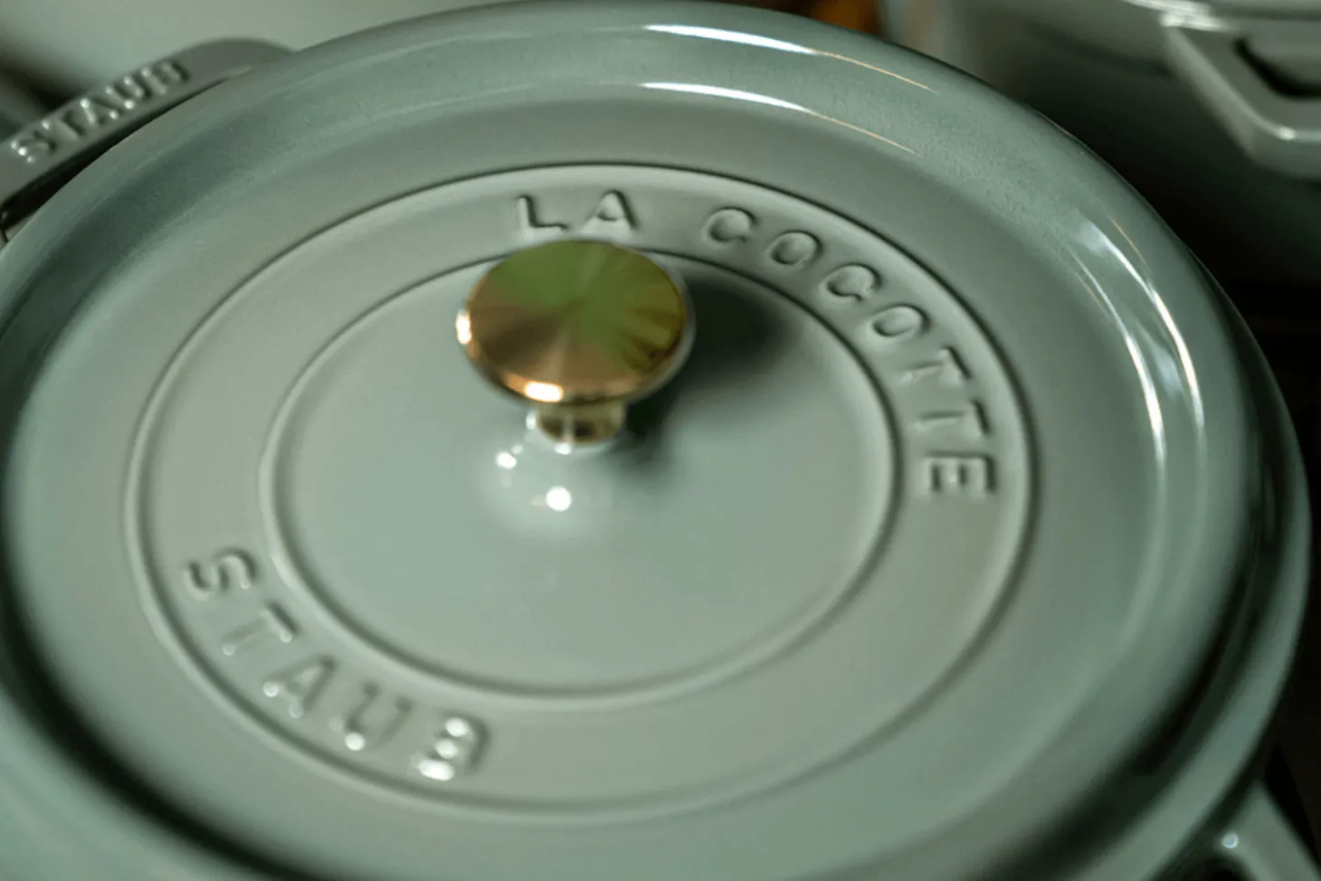 Cocotte Staub ronde en fonte émaillée Eucalyptus