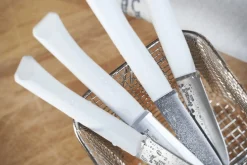 Coffret 4 couteaux de table Opinel Bon Appétit + lame 11cm en inox manche en polymère nuage