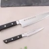 Coffret 2 couteaux japonais Satake Cutlery ABS chef 18cm + office 9cm