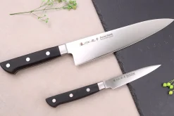 Coffret 2 couteaux japonais Satake Cutlery ABS chef 21cm + office 9cm