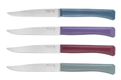 Coffret 4 couteaux Opinel Bon Appétit+ Glam 11cm inox