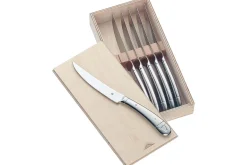 Coffret 6 couteaux à steak monobloc WMF Geschenkide acier inox 18/10 lame dentée