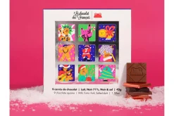 Coffret de 9 carrés de chocolat Le Chocolat des français - 45g