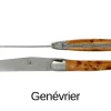 Coffret de 6 couteaux de table Forge de Laguiole 2 mitres en inox panache de bois