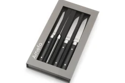 Coffret de 4 couteaux à steak Fusion Amefa