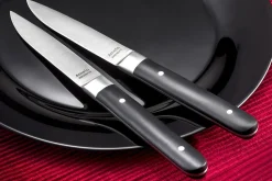 Coffret de 4 couteaux à steak Fusion Amefa