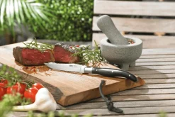 Coffret de 4 couteaux à steak Gefu Basco lame microdentée en acier japonais