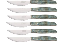 Coffret de 6 couteaux à steak/pizza Arcos lame dentelée 11cm manche bois bleu