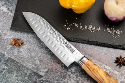 Coffret de 2 couteaux Wusaki Damas 10Cr manches en olivier Santoku + Office