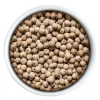 Coffret de 3 sachets fraîcheur Peugeot Premium poivre blanc de Madagascar Sikara - 3x20g