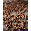 Coffret de 4 sachets fraicheur Peugeot 10g poivre sauvage Timut du Népal