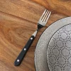 Coffret de table Wusaki 2 couteaux à steak à bout rond + 2 fourchettes