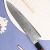 Couteau de chef 21cm japonais Sakai Takayuki Ginga damas
