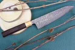 Couteau de chef japonais artisanal Takeshi Saji VG10 Gold 24cm