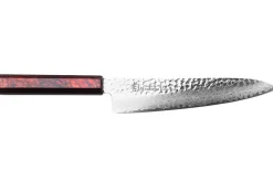Couteau de chef japonais 21cm Sakai Takayuki Nanairo Wine Damas VG10