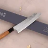 Couteau de chef kiritsuke 20cm japonais artisanal Nigara Hamono Migaki Tsuchime SG2 teck