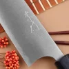Couteau de chef kiritsuke japonais artisanal Shibata Koutetsu R2 21cm