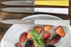 Couteau de table Opinel Bon Appétit Bois n°125 lame 11cm en inox manche en charme nuage