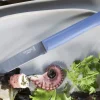 Couteau de table Opinel Bon Appétit + lame 11cm en inox manche en polymère bleu