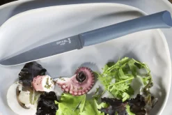 Couteau de table Opinel Bon Appétit + lame 11cm en inox manche en polymère sauge