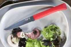 Couteau de table Opinel Bon Appétit + lame 11cm en inox manche en polymère rouge