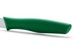 Couteau d'office Arcos Nova 10cm manche vert