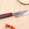 Couteau d'office 13cm japonais artisanal Takeshi Saji VG10 Rainbow