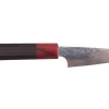 Couteau d'office 9cm japonais artisanal Takeshi Saji VG10 Rainbow