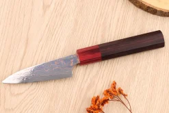 Couteau d'office 9cm japonais artisanal Takeshi Saji VG10 Rainbow