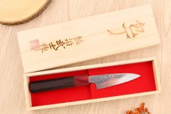 Couteau d'office 9cm japonais artisanal Takeshi Saji VG10 Rainbow