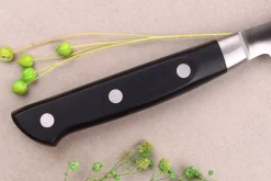 Couteau d'office 9cm japonais Satake Cutlery ABS