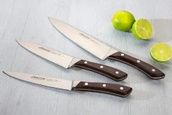 Couteau d'office forgé Arcos Natura 10cm palissandre