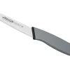 Couteau d'office éplucheur professionnel Arcos Colour Prof 10cm