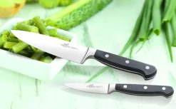 Couteau d'office Sabatier International Pluton lame 9cm manche riveté