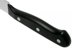 Couteau filet de sole Wüsthof Gourmet lame flexible 16cm