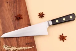 Couteau garasuki 18,5cm japonais Misono SW