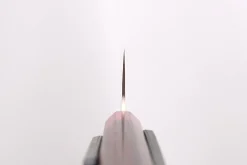 Couteau nakiri 16,5cm japonais artisanal Takeshi Saji VG10 Rainbow