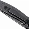 Couteau pliant Kershaw Random Leek Blackwash KS.1660RBW manche en acier inox 10,2cm