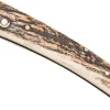 Couteau pliant Salamandra manche corne de cerf 9cm avec passe-lanière