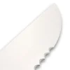 Couteau à poisson DEGLON lame 42cm grandes dents manche PP bleu