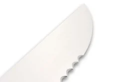 Couteau à poisson DEGLON lame 42cm grandes dents manche PP bleu