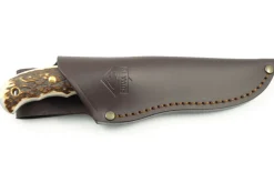 Couteau Puma IP Catamount Stag II 304211 lame 11,1cm manche bois de cerf + étui en cuir