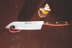 Couteau santoku Arcos Nórdika lame 19cm