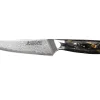 Couteau à steak Wusaki Sakin Damas 10Cr 13cm manche en fibre de carbone et feuille d'or