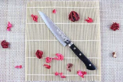 Couteau universel 13,5cm Japan Kanetsune acier VG1 martelé