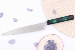 Couteau yanagiba japonais 21cm Sakai Takayuki Nanairo manche en résine laqué vert