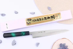 Couteau yanagiba japonais 21cm Sakai Takayuki Nanairo manche en résine laqué vert